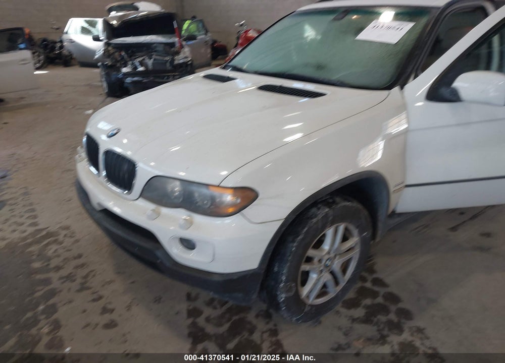 2006 BMW X5 3.0I VIN: 5UXFA135X6LY31337