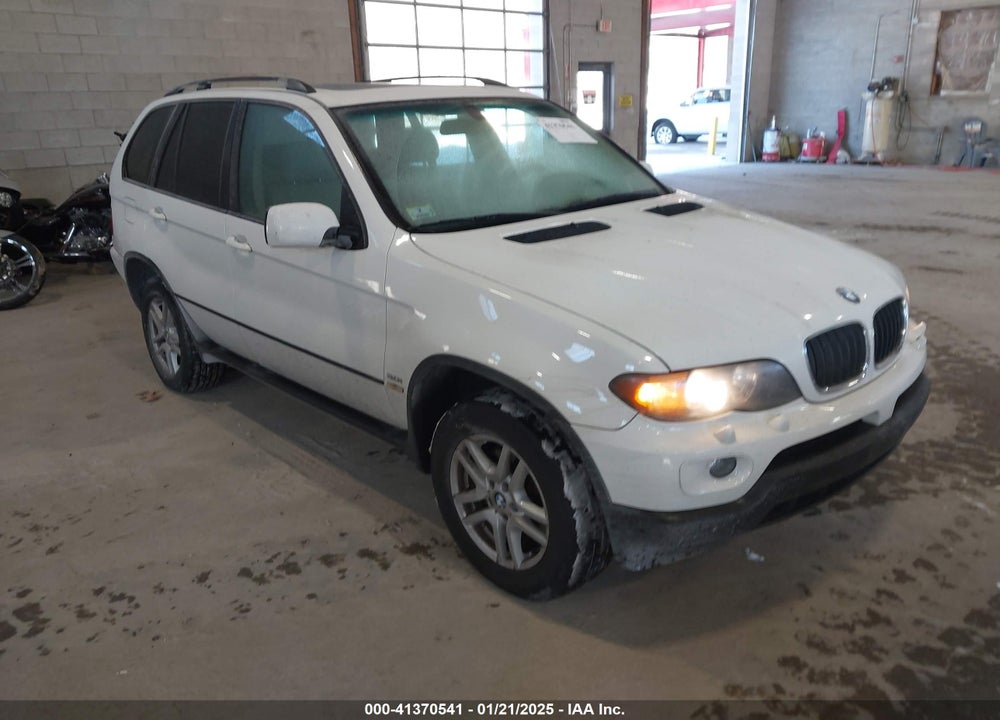 2006 BMW X5 3.0I VIN: 5UXFA135X6LY31337