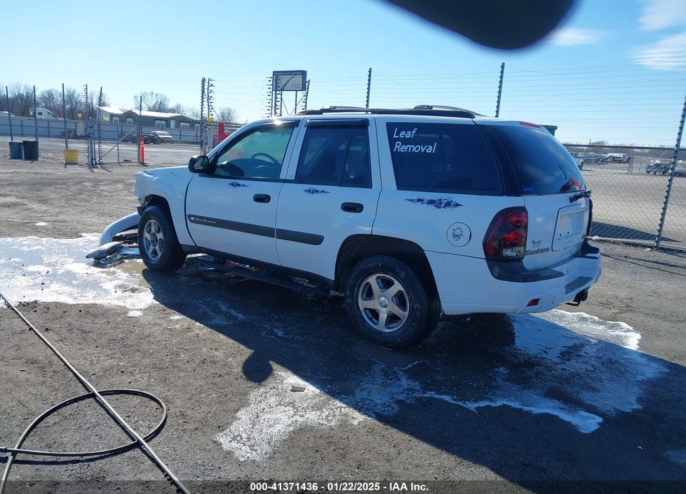 2004 CHEVROLET TRAILBLAZER LS VIN: 1GNDS13S442135160