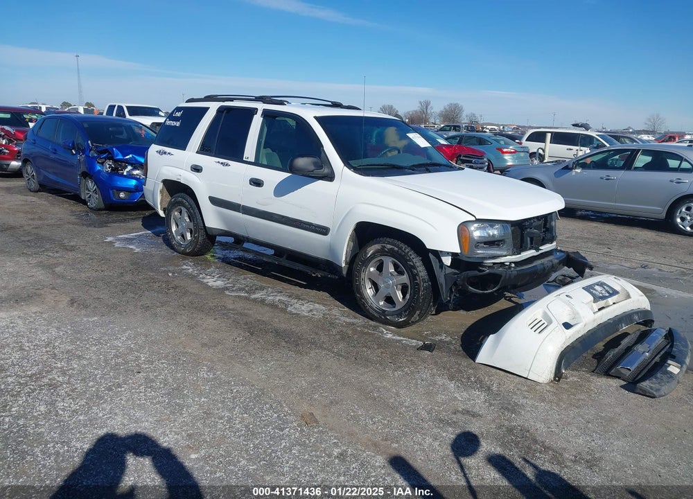 2004 CHEVROLET TRAILBLAZER LS VIN: 1GNDS13S442135160