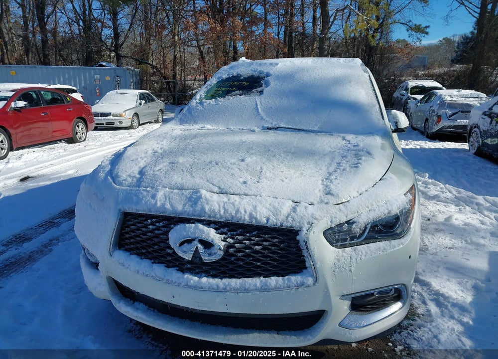 2019 INFINITI QX60 LUXE VIN: 5N1DL0MM3KC510622