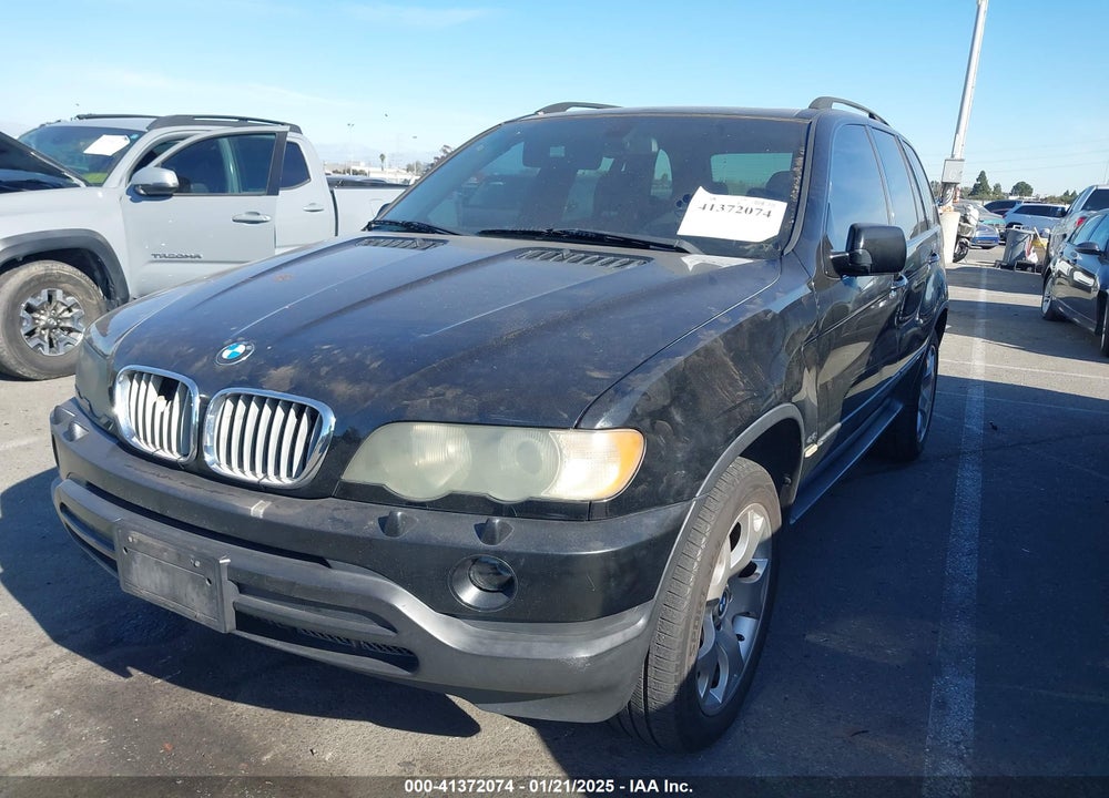 2002 BMW X5 4.4I VIN: 5UXFB33542LH33183
