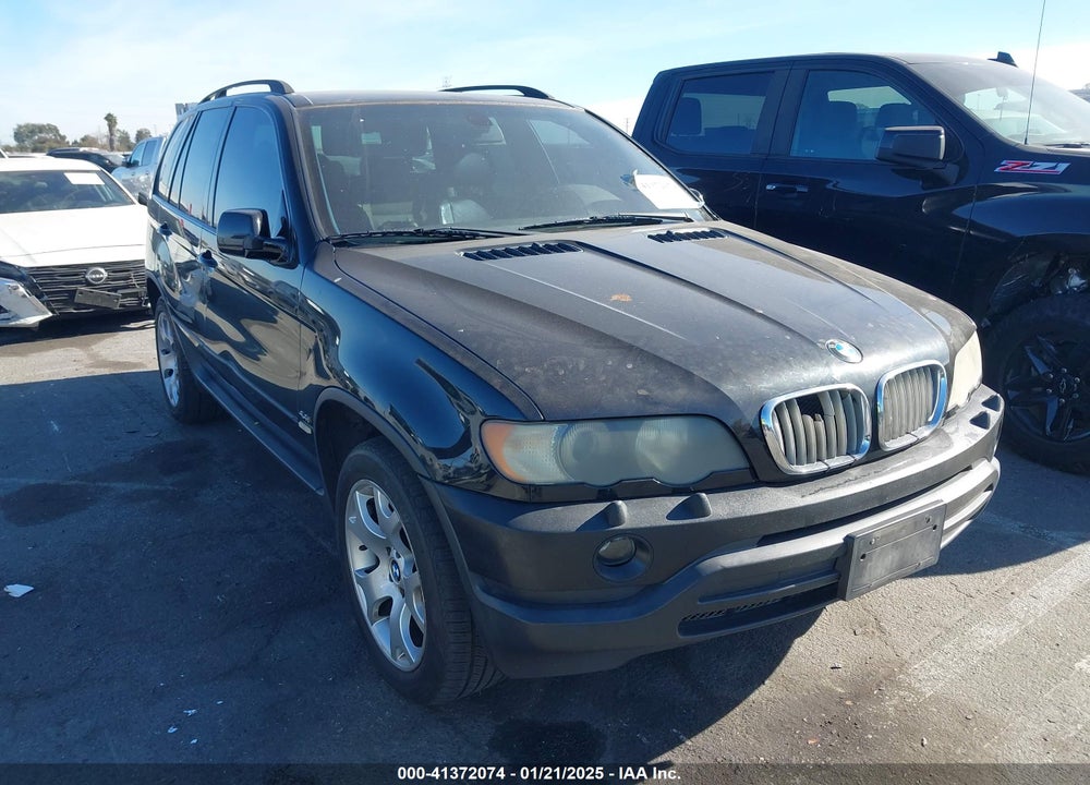 2002 BMW X5 4.4I VIN: 5UXFB33542LH33183