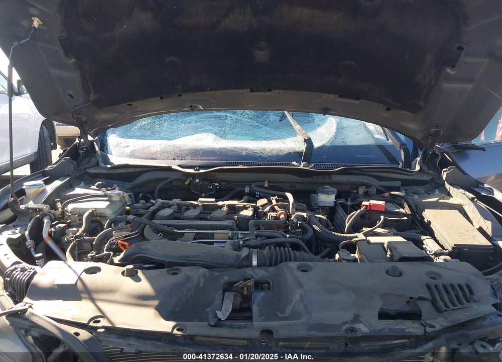 2017 HONDA CIVIC VIN: 2HGFC1F31HH641661