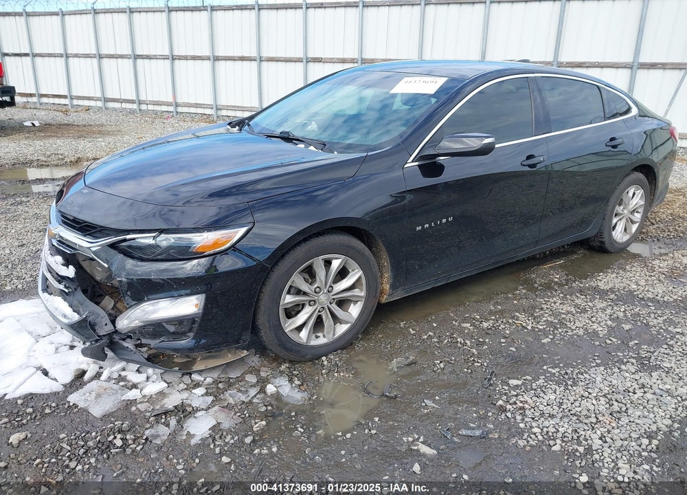 2019 CHEVROLET MALIBU VIN: 1G1ZD5ST9KF145045