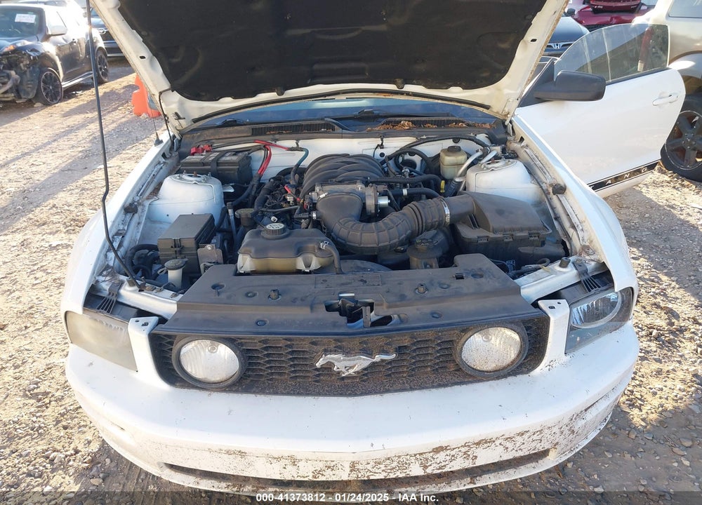 2007 FORD MUSTANG VIN: 1ZVFT85H175258682