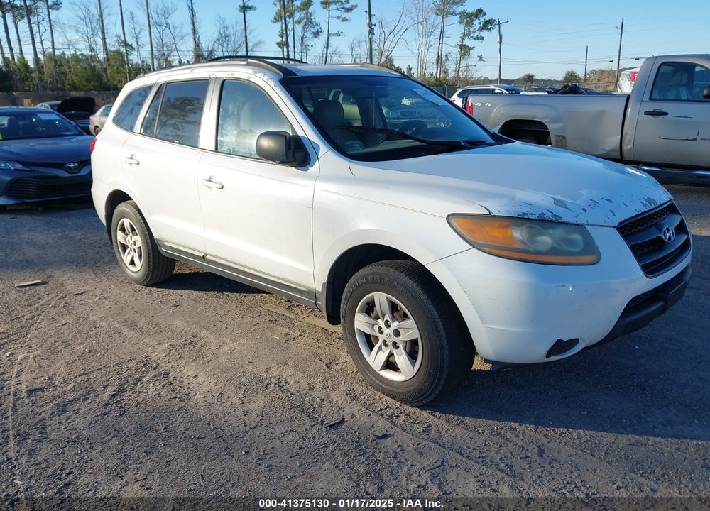 2009 HYUNDAI SANTA FE GLS VIN: 5NMSG13D09H303057
