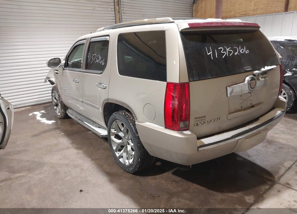2007 CADILLAC ESCALADE STANDARD VIN: 1GYFK638X7R304171