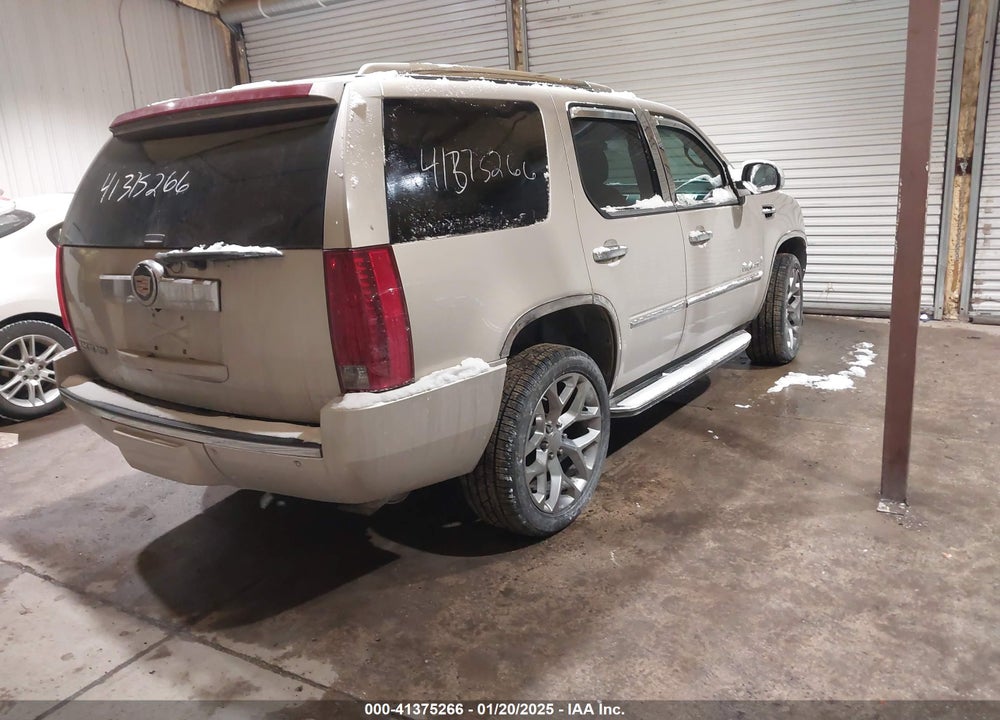 2007 CADILLAC ESCALADE STANDARD VIN: 1GYFK638X7R304171
