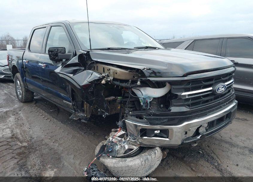 2024 FORD F-150 XLT VIN: 1FTFW3LD8RFA49191