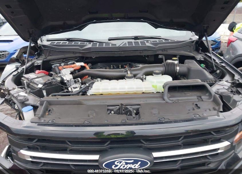 2024 FORD F-150 XLT VIN: 1FTFW3LD8RFA49191