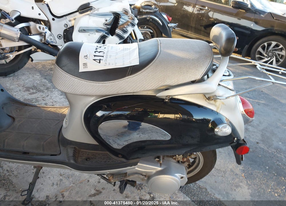 2009 LANCE 250 VIN: L5YTCKPA691133683