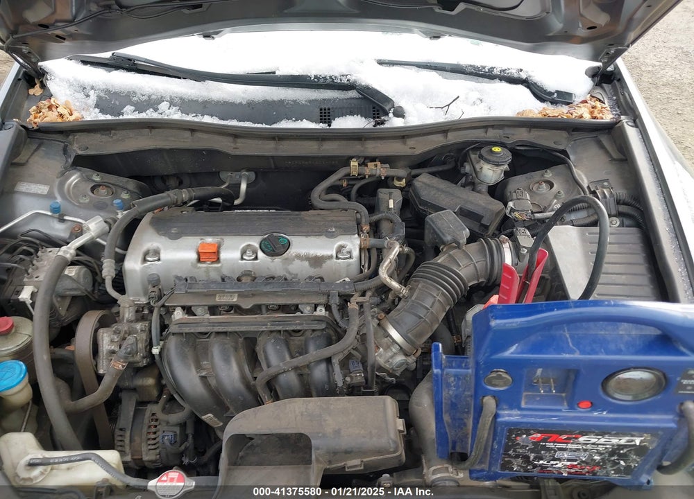2010 HONDA ACCORD SDN VIN: 1HGCP2F43AA031755