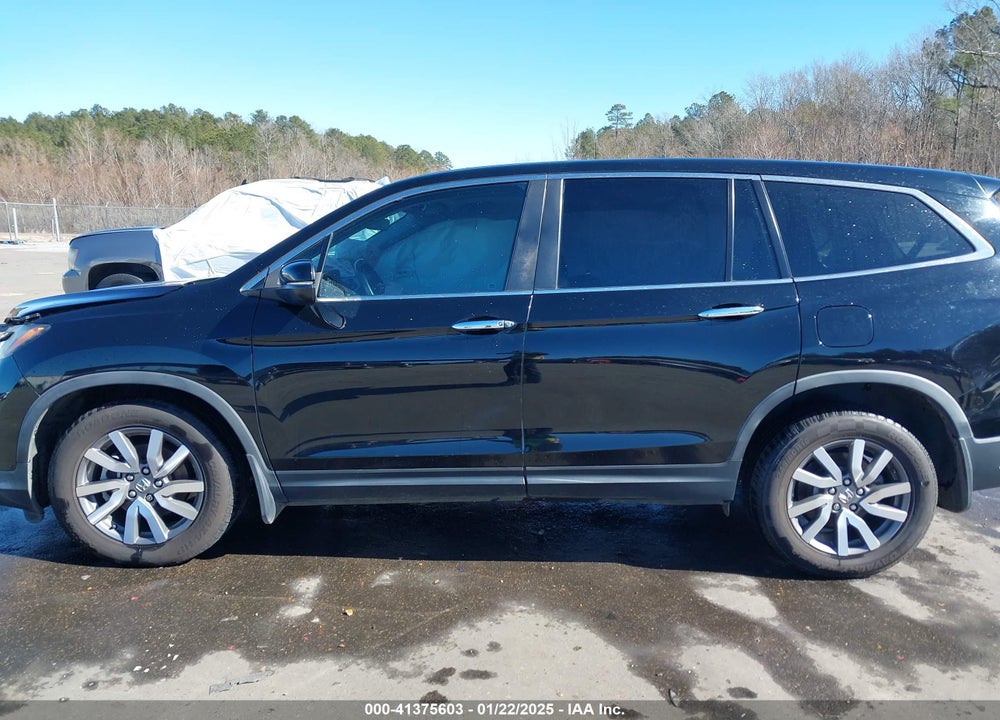 2019 HONDA PILOT EX-L VIN: 5FNYF6H58KB032669