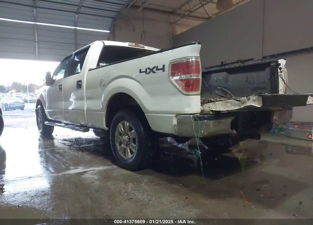 2009 FORD F-150 FX4/KING RANCH/LARIAT/PLATINUM/XL/XLT VIN: 1FTPW14VX9KC63719