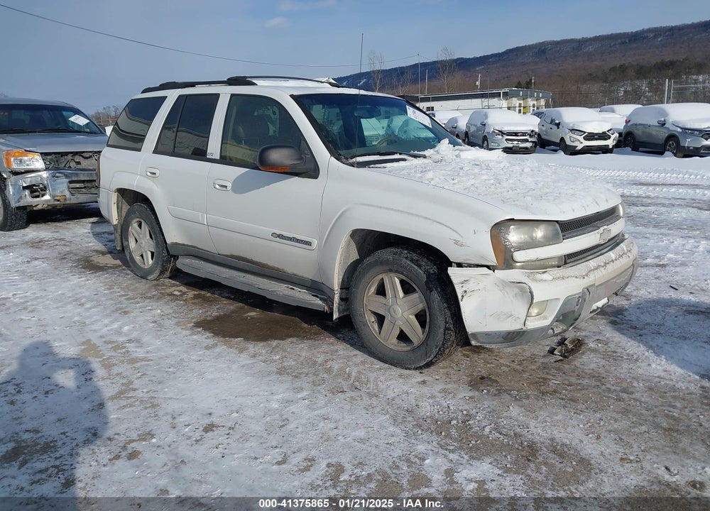 2003 CHEVROLET TRAILBLAZER LTZ VIN: 1GNDT13S832144018