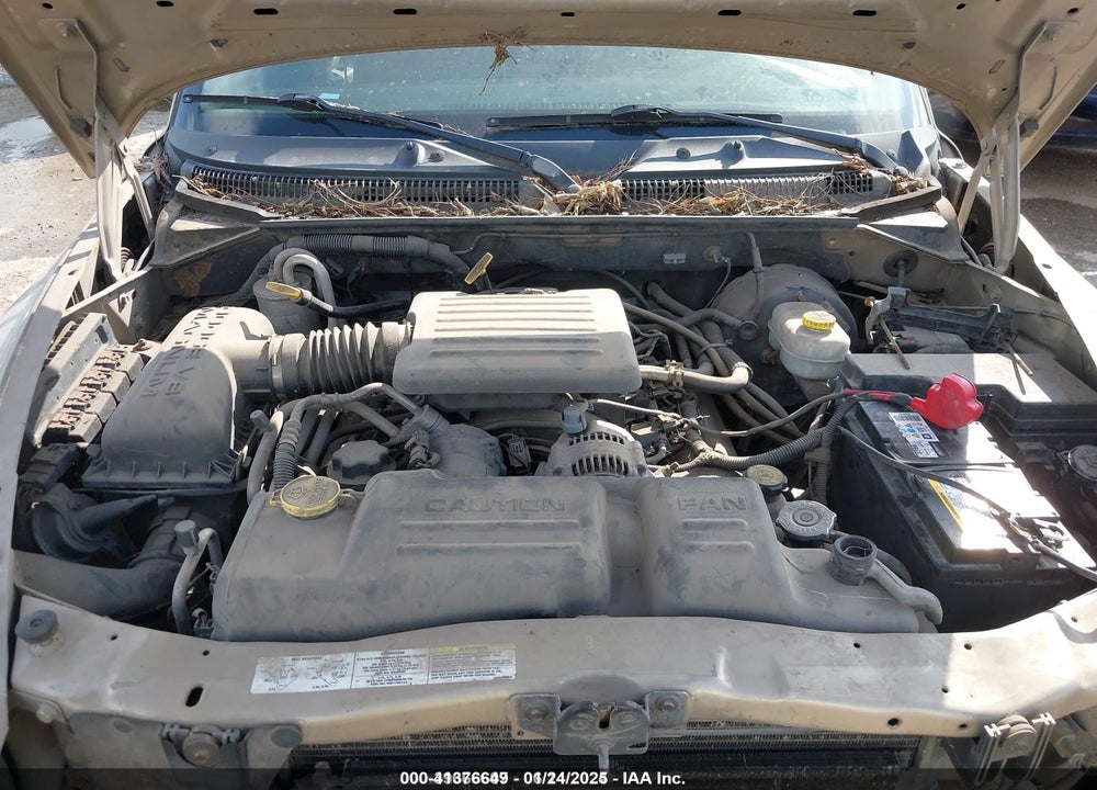 2003 DODGE DAKOTA SLT VIN: 1D7HL48N03S314151