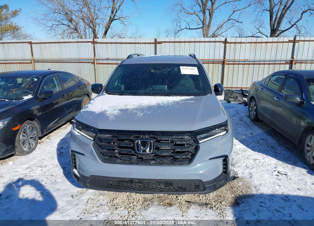 2024 HONDA PILOT VIN: 5FNYG1H39RB027750