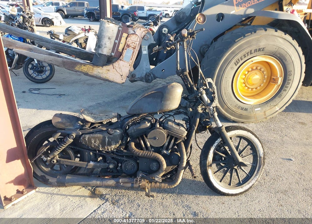 2011 HARLEY-DAVIDSON XL883 N VIN: 1HD4LE239BC412270