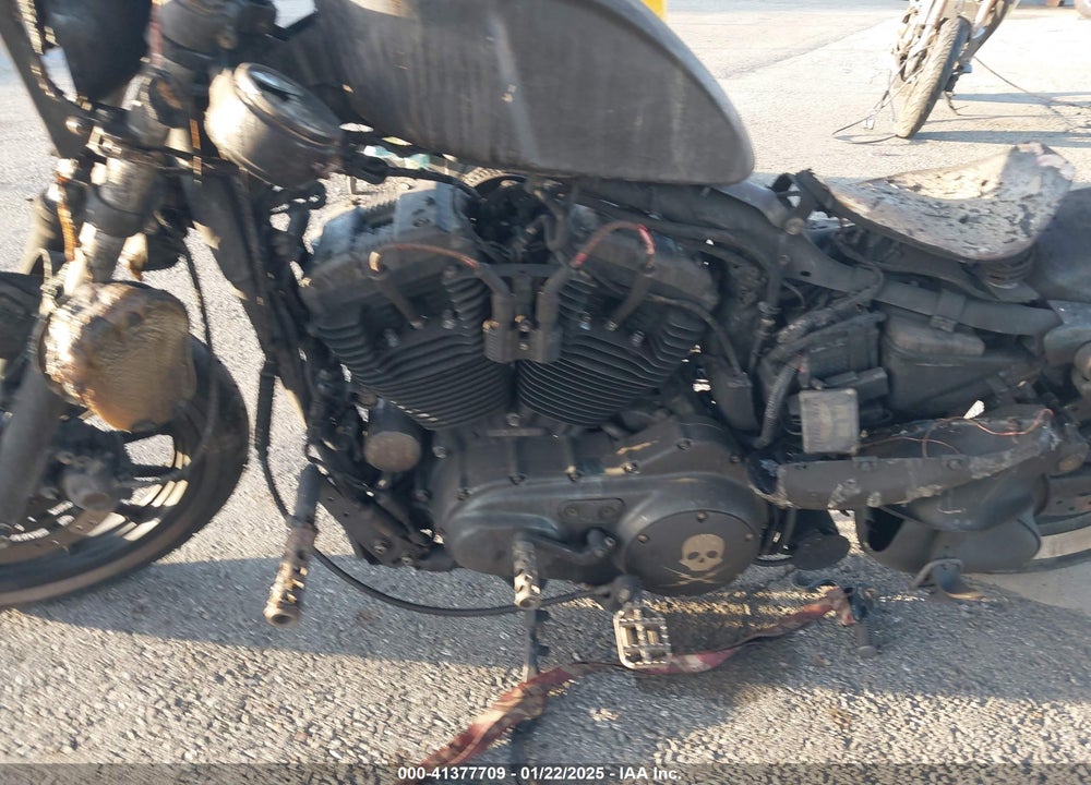 2011 HARLEY-DAVIDSON XL883 N VIN: 1HD4LE239BC412270