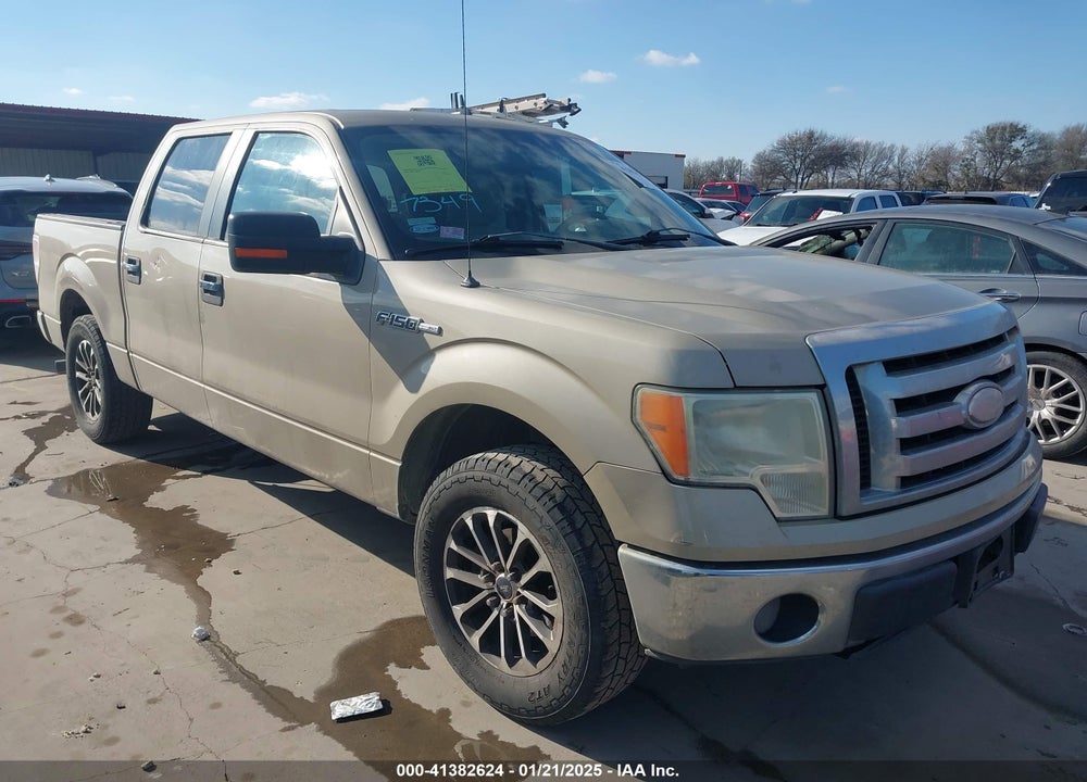 2009 FORD F-150 XL/XLT VIN: 1FTRW12839KC54589