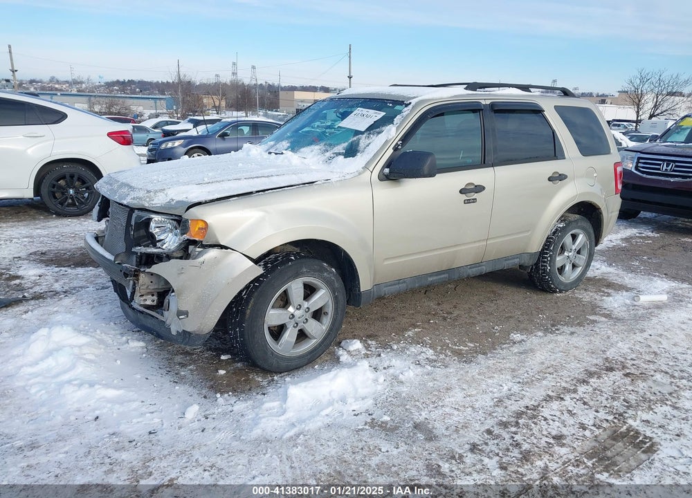 2011 FORD ESCAPE XLT VIN: 1FMCU9DG7BKB64216