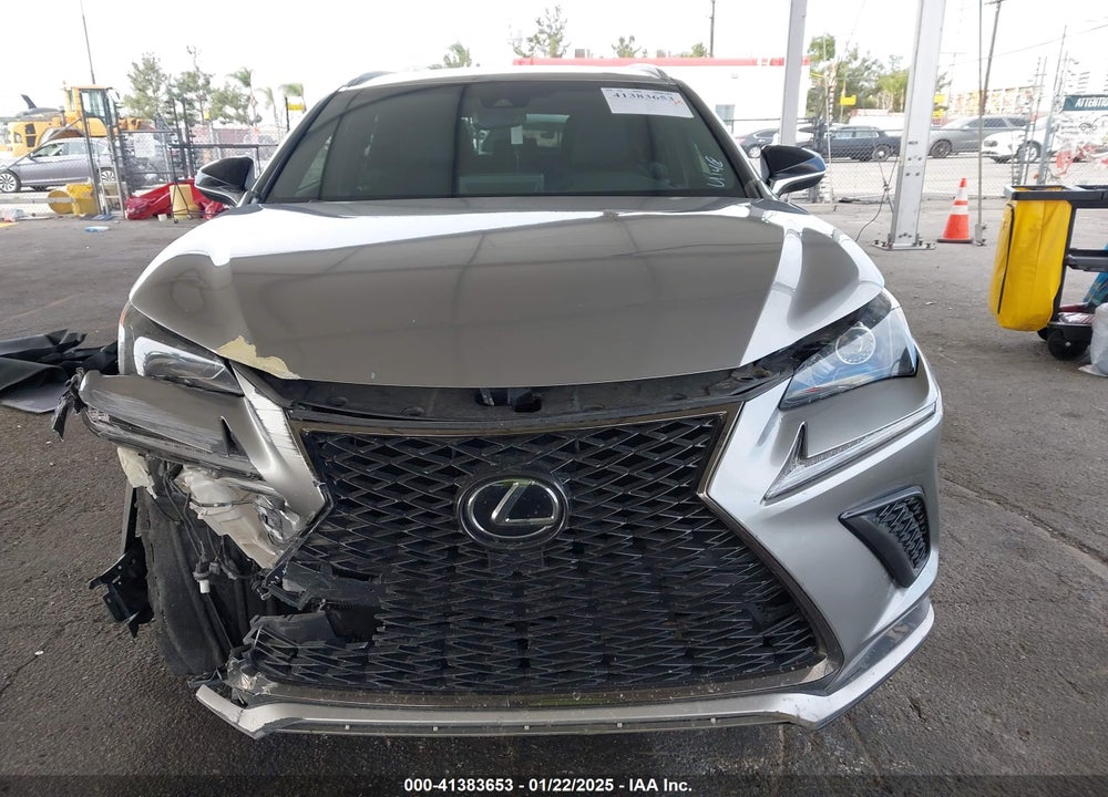 2019 LEXUS NX 300 F-SPORT VIN: JTJYARBZ6K2129798