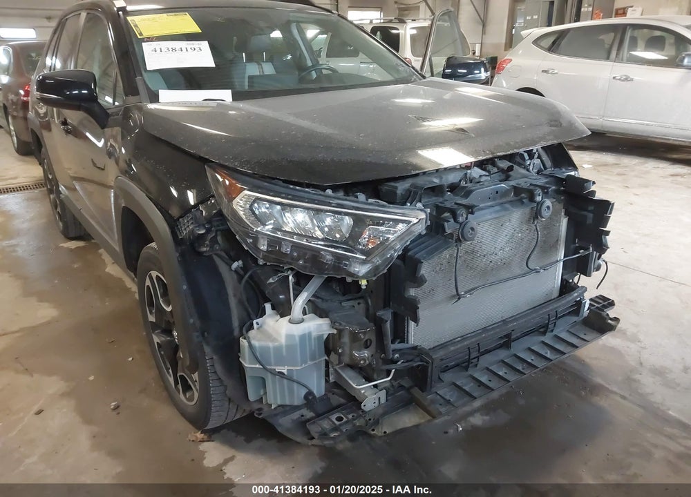 2019 TOYOTA RAV4 ADVENTURE VIN: 2T3J1RFVXKW029951