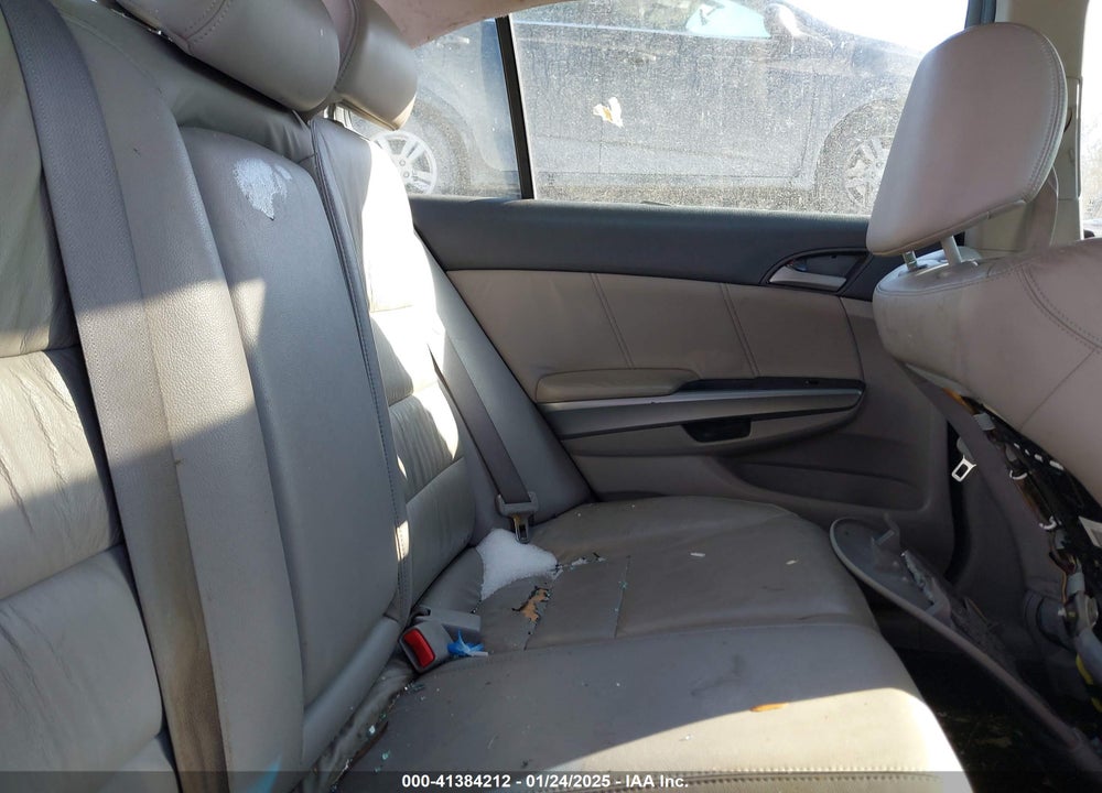 2010 HONDA ACCORD VIN: 1HGCP2F87AA132297
