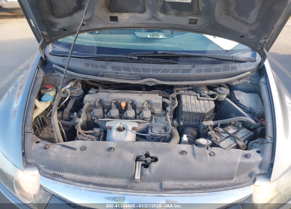 2010 HONDA CIVIC GX VIN: 19XFA4F52AE000298