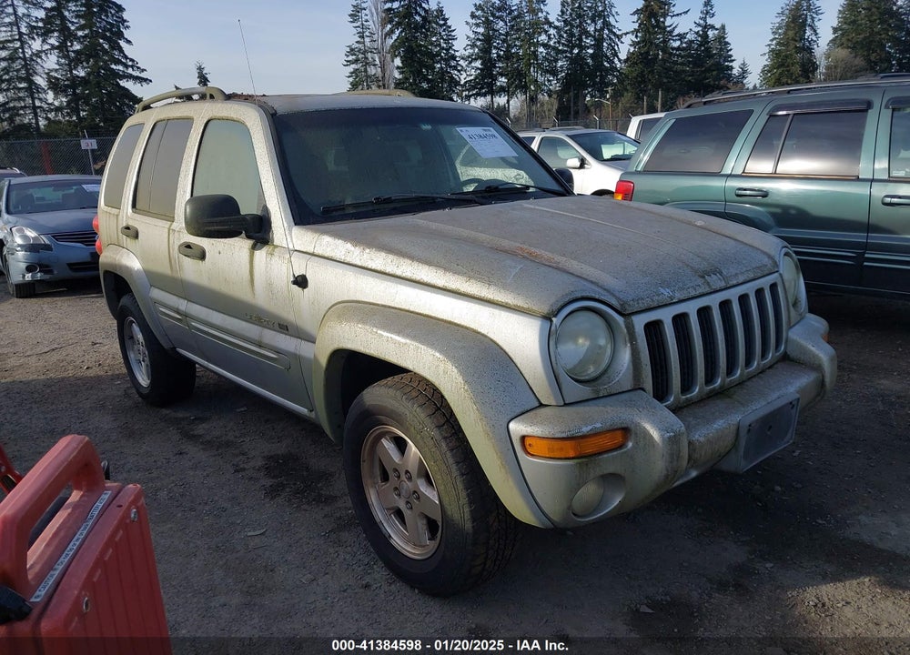 2002 JEEP LIBERTY LIMITED EDITION VIN: 1J4GL58K82W308469