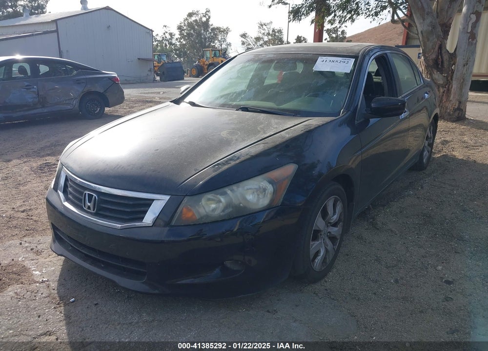 2010 HONDA ACCORD VIN: 1HGCP3F89AA025502