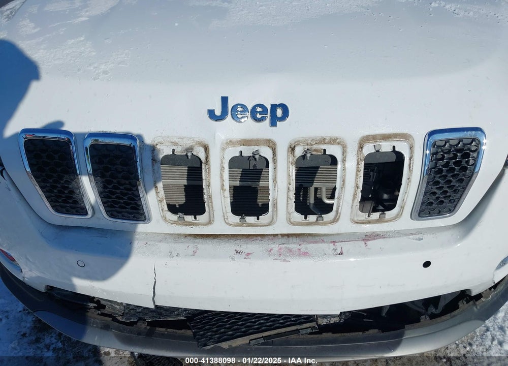 2021 JEEP CHEROKEE LIMITED 4X4 VIN: 1C4PJMDX9MD219760