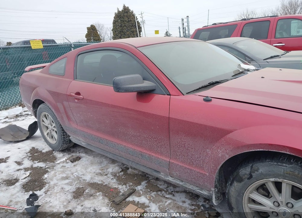 2006 FORD MUSTANG VIN: 1ZVFT80N065163476