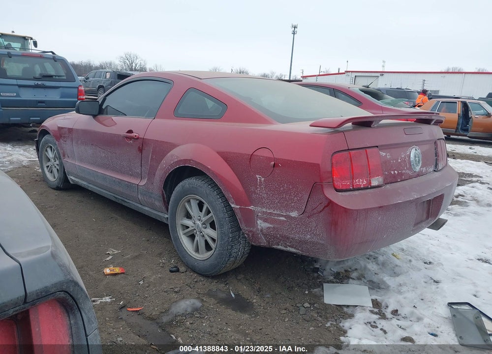 2006 FORD MUSTANG VIN: 1ZVFT80N065163476