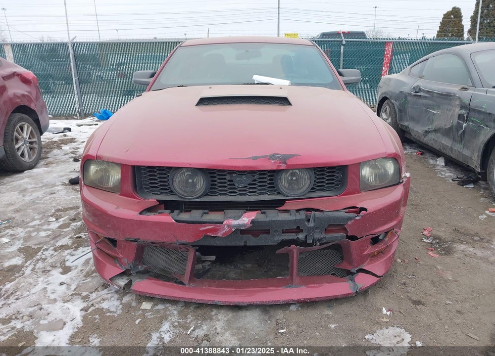 2006 FORD MUSTANG VIN: 1ZVFT80N065163476