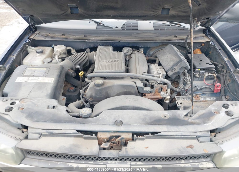 2002 CHEVROLET TRAILBLAZER LS VIN: 1GNDT13S022339688
