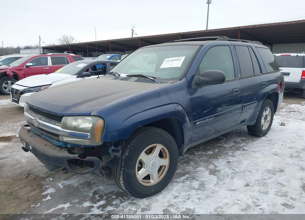 2002 CHEVROLET TRAILBLAZER LS VIN: 1GNDT13S022339688