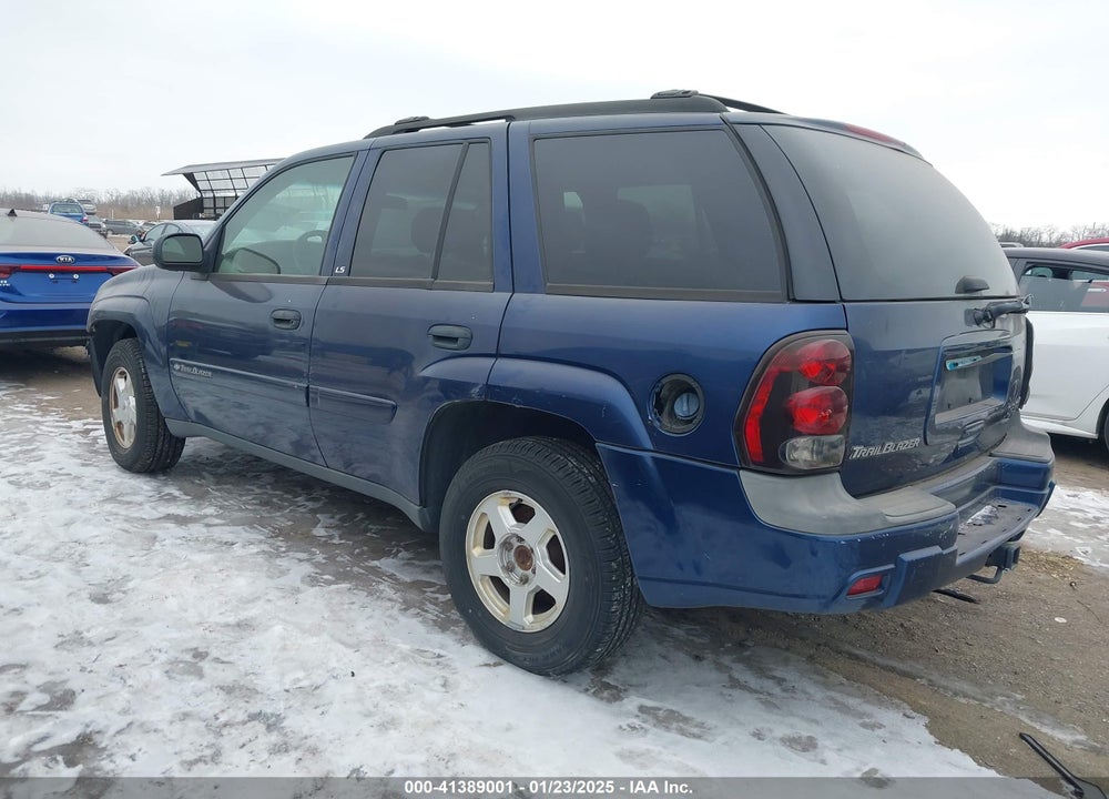 2002 CHEVROLET TRAILBLAZER LS VIN: 1GNDT13S022339688