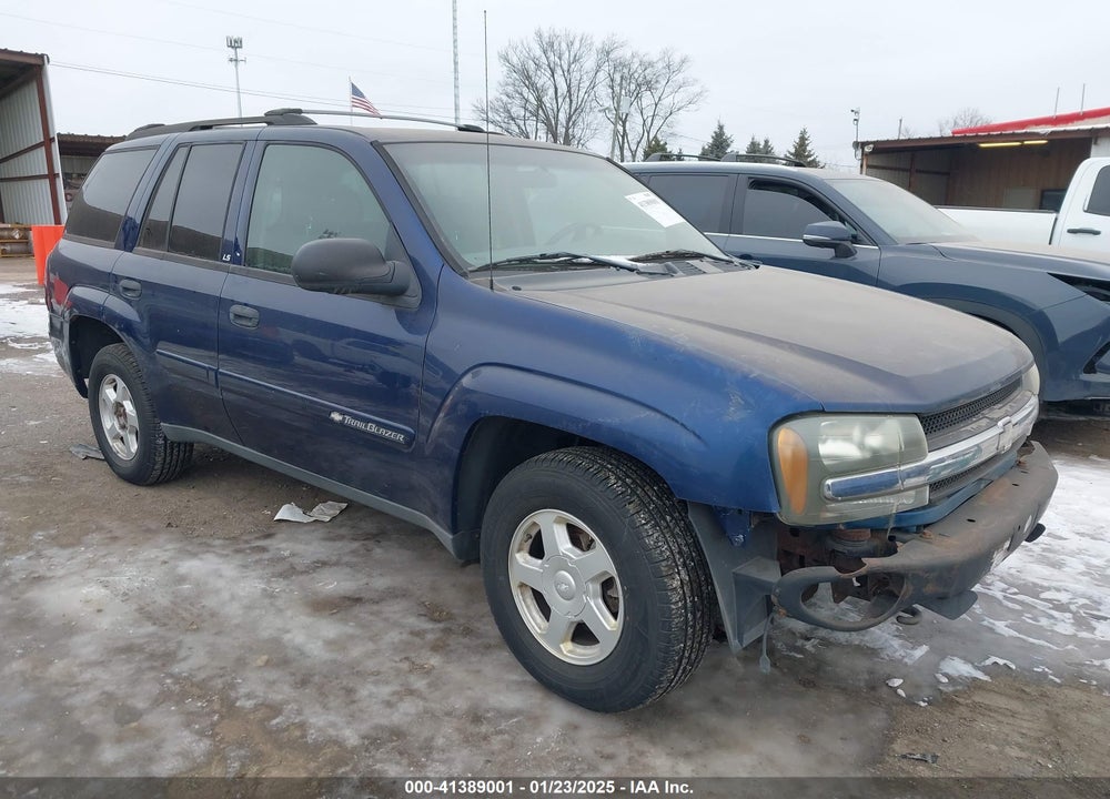 2002 CHEVROLET TRAILBLAZER LS VIN: 1GNDT13S022339688