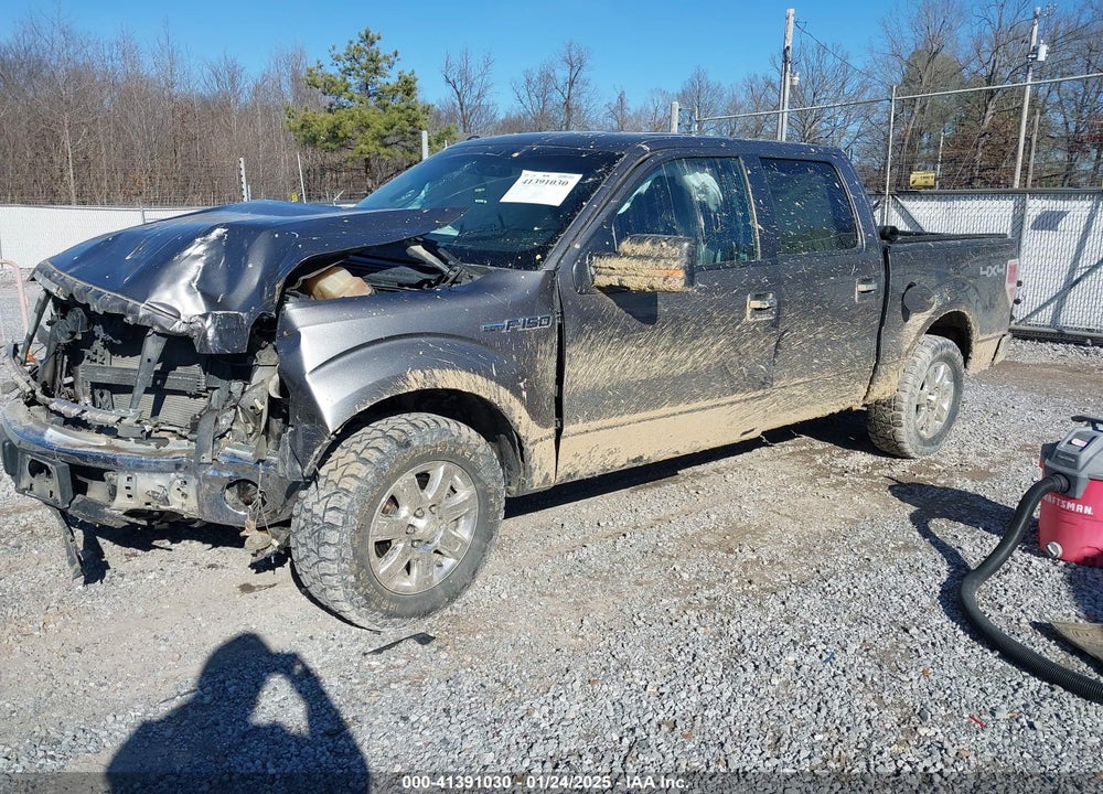 2013 FORD F-150 XLT VIN: 1FTFW1EF5DFA44610