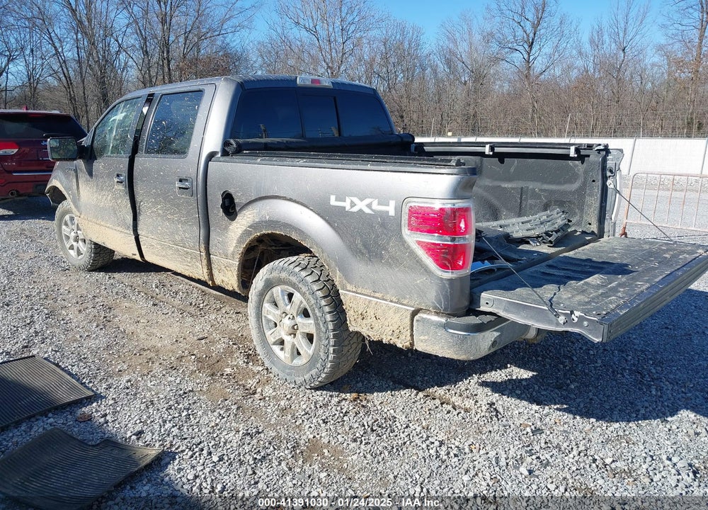 2013 FORD F-150 XLT VIN: 1FTFW1EF5DFA44610