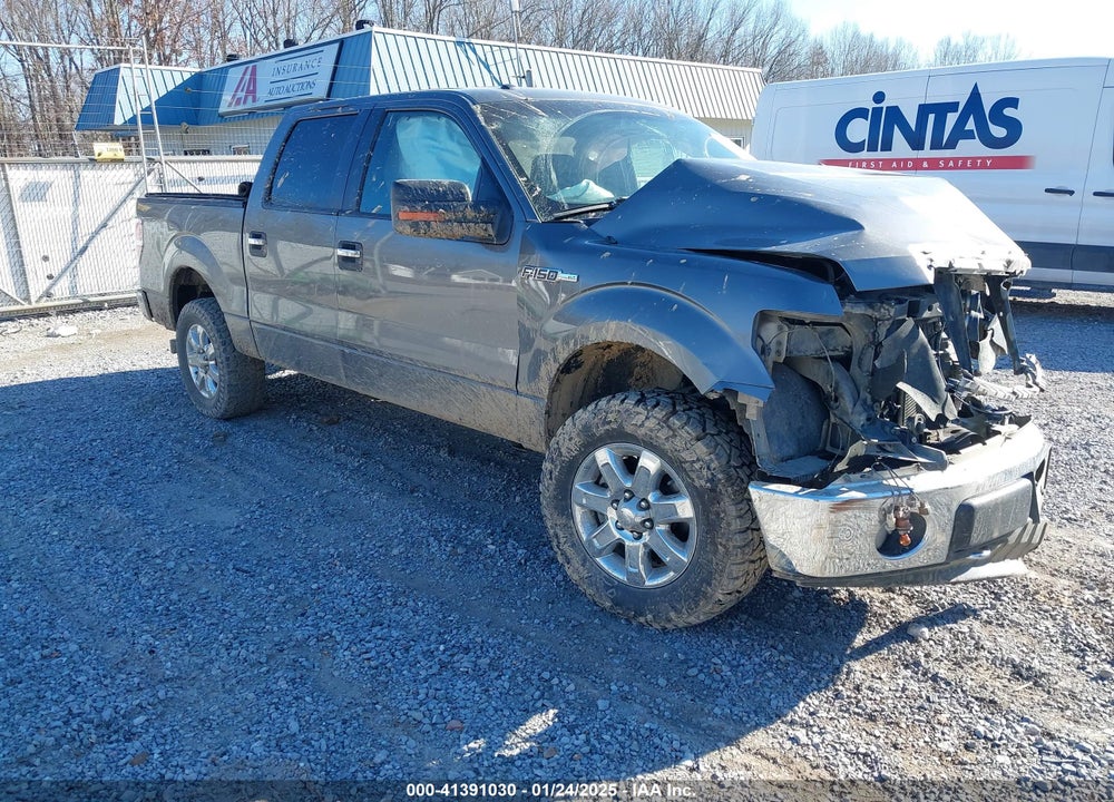 2013 FORD F-150 XLT VIN: 1FTFW1EF5DFA44610