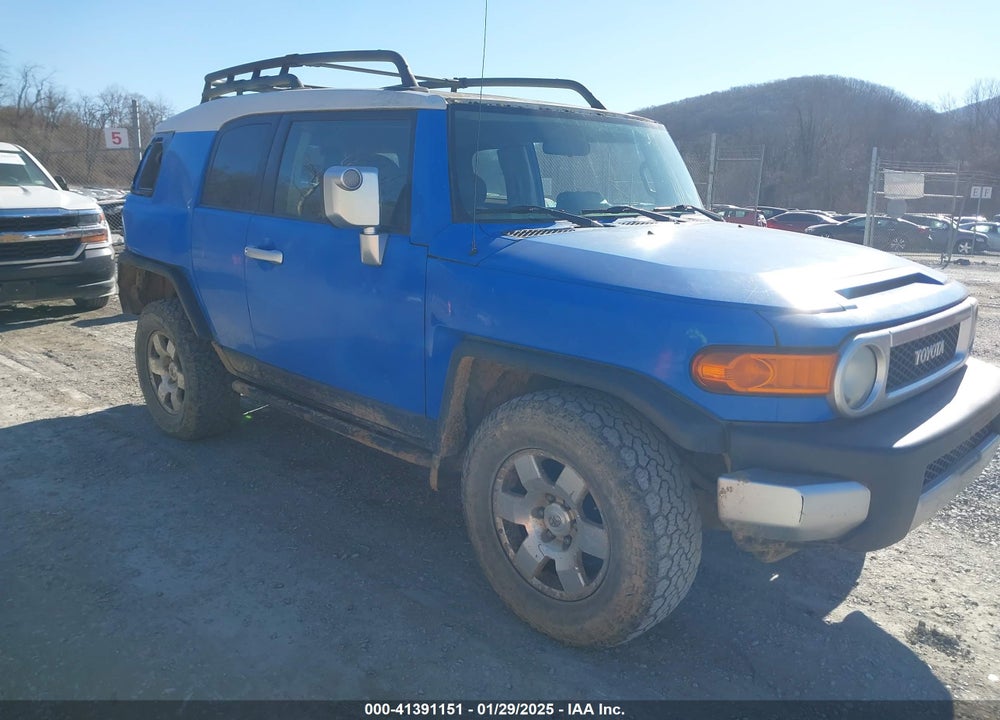 2007 TOYOTA FJ CRUISER VIN: JTEBU11F070070044