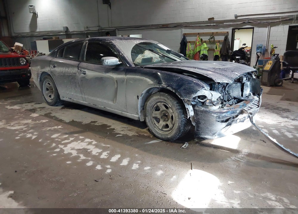 2013 DODGE CHARGER POLICE VIN: 2C3CDXAT1DH665031