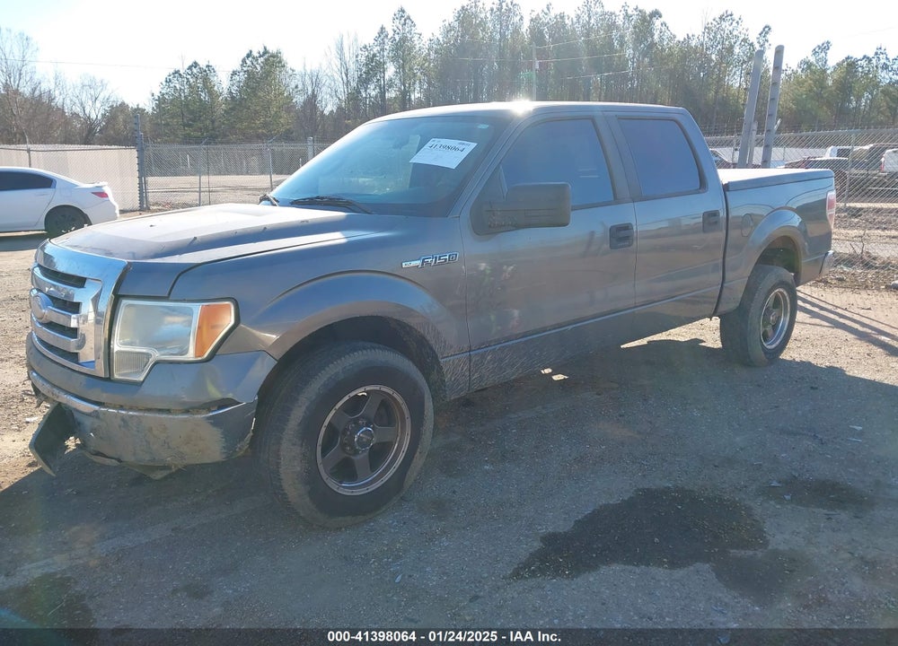 2009 FORD F-150 XL/XLT VIN: 1FTRW12809FA52446