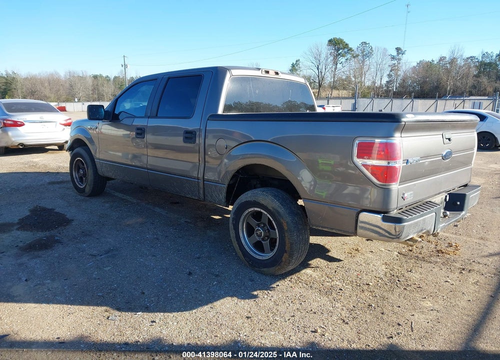 2009 FORD F-150 XL/XLT VIN: 1FTRW12809FA52446