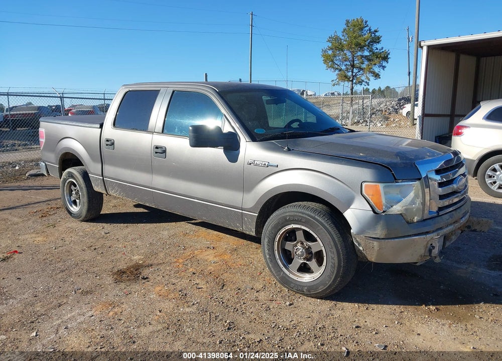 2009 FORD F-150 XL/XLT VIN: 1FTRW12809FA52446