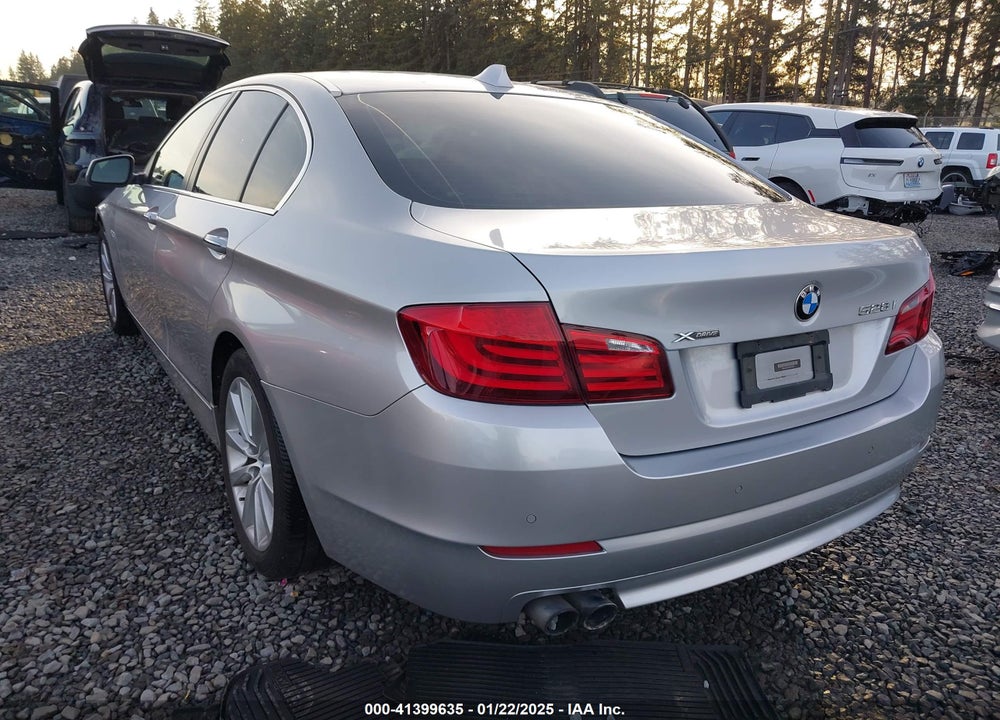 2013 BMW 528I VIN: WBAXH5C56DDW15613