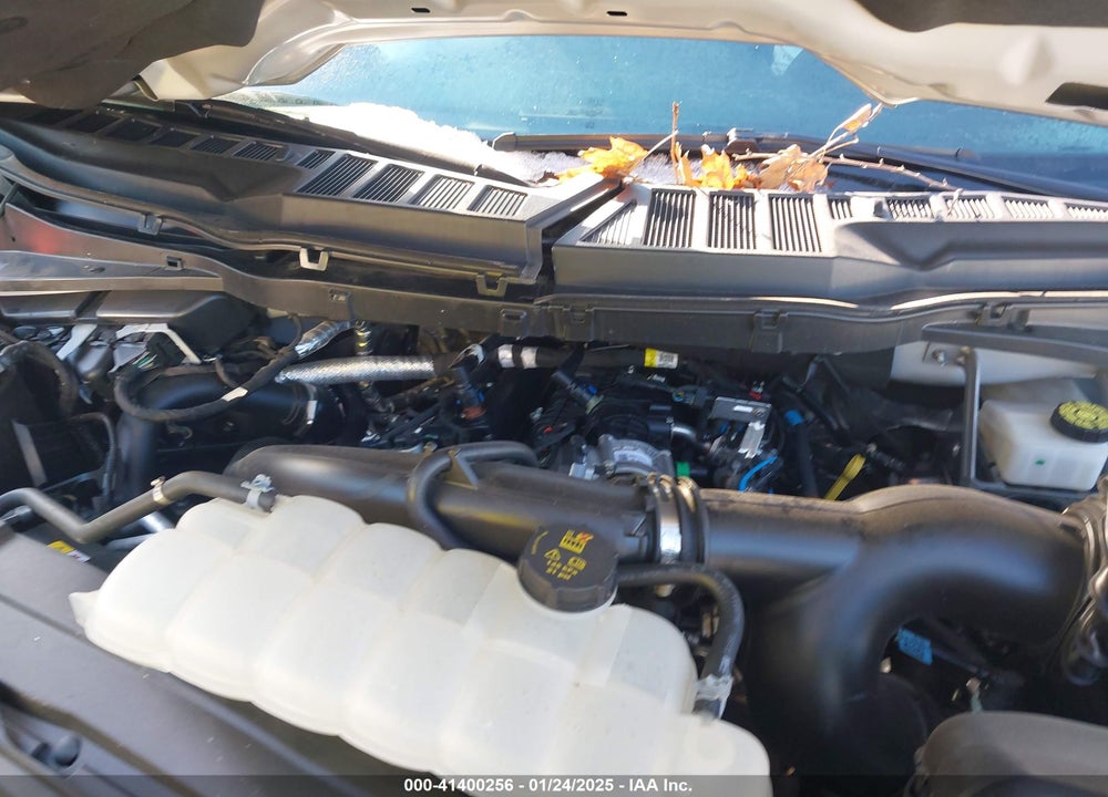 2023 FORD F-150 XLT VIN: 1FTEW1CP6PKG18988